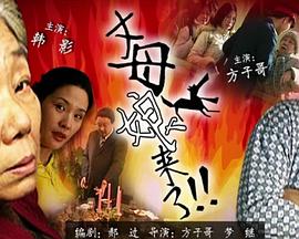巴尼的人生